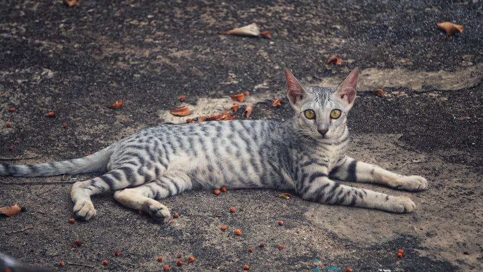 蘋果肌下垂醫美:了解原因與有效改善方法