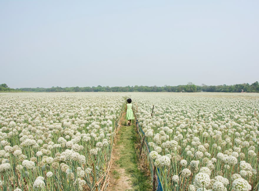 天台花園的重要性與實踐方法