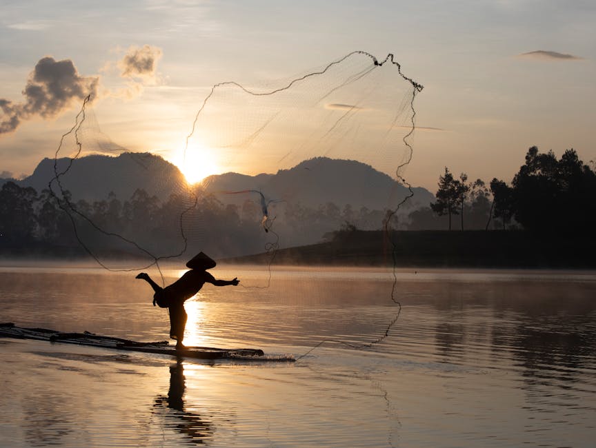 高級中菜教學：步驟式輕鬆學做美味料理